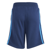 VRCT Shorts-5